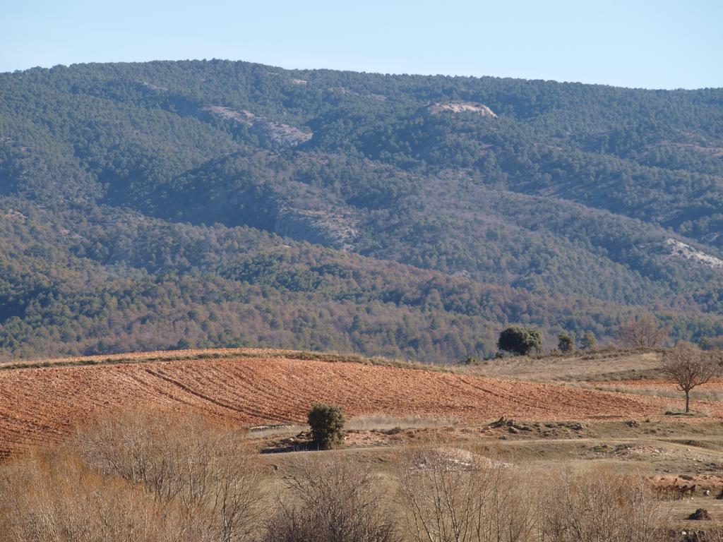 Alojamiento Turistico "El Torreon" Affittacamere Fresneda de la Sierra Esterno foto